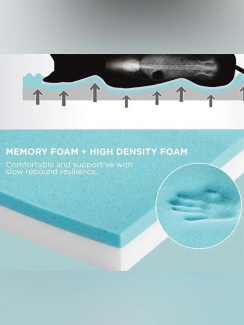 Memory Foam Dog Bed